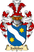 v.23 Coat of Family Arms from Germany for Salfelder