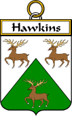 Irish Badge for Hawkins or Haughan