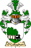 Irish Family Coat of Arms (v.23) for O'Callaghan