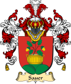German Coat of Arms (v.25b) Sauer