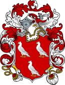 English or Welsh Coat of Arms for Ayre (or Ayer)