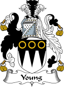 Scottish Coat of Arms for Young
