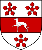 English Family Shield for Albany