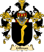 Irish Family Coat of Arms (v.25a) Gillman