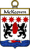 Irish Badge for McKeown