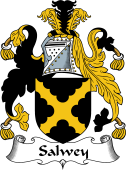 English Coat of Arms for the family Salwey