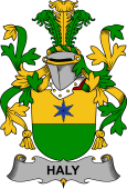 Irish Coat of Arms for Haly or O'Haly