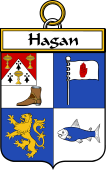 Irish Badge for Hagan or O'Hagan