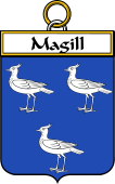 Irish Badge for Magill
