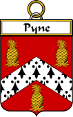 Irish Badge for Pyne