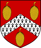 English Family Shield for Pine or Pyne