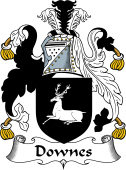 English Coat of Arms for Downes