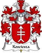 Polish Coat of Arms for Kosciesza II
