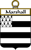 Irish Badge for Marshall