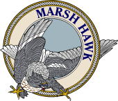 American Marsch Hawk-M