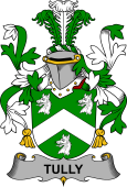 Irish Coat of Arms for Tuly or McAtilla