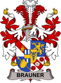 Swedish Coat of Arms for Brauner