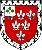 Irish Family Shield for Darley (Dublin)
