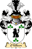 Irish Family Coat of Arms (v.23) for O'Killeen