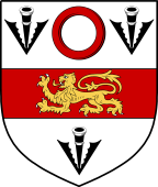 Irish Family Shield for O'Rodon or Rodden (Westmeath)