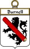 Irish Badge for Burnell