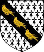 English Family Shield for Cheney