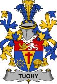 Irish Coat of Arms for Tuohy or O'Toohey