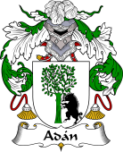 Spanish Coat of Arms for Adán