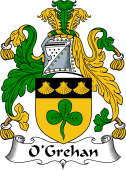 Irish Coat of Arms for O'Grehan or Greaghan