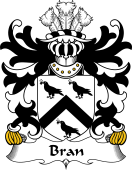 Welsh Coat of Arms for Bran (AP DINAWAL)