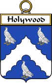 Irish Badge for Holywood