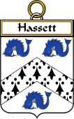 Irish Badge for Hassett or Hasset