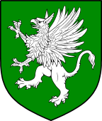 Irish Family Shield for MacDeargan or O'Dargan