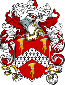 English or Welsh Coat of Arms for Wayne (Ref Berry)