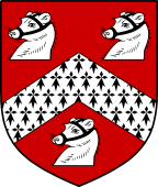 English Family Shield for Wight