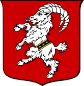 Polish Family Shield for Koziel III (Staski)