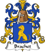 Coat of Arms from France for Brachet