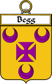 Irish Badge for Begg