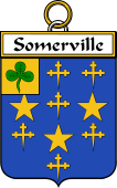 Irish Badge for Somerville