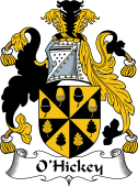 Irish Coat of Arms for O'Hickey II