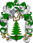 English or Welsh Coat of Arms for Pine