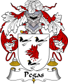 Portuguese Coat of Arms for Pegas