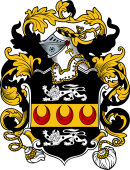 English or Welsh Coat of Arms for Tyler (Herefordshire, 1559)