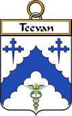 Irish Badge for Teevan
