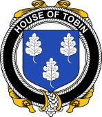 Irish Coat of Arms Badge for the TOBIN family
