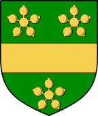 Irish Family Shield for Marward (Meath)