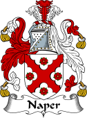 Irish Coat of Arms for Naper or Napper