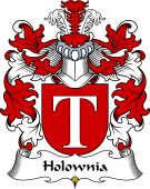 Polish Coat of Arms for Holownia