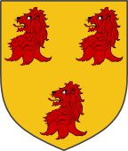 Scottish Family Shield for Badenoch or Badenock