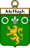 Irish Badge for McHugh